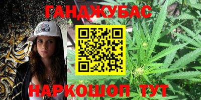 амф Камышлов