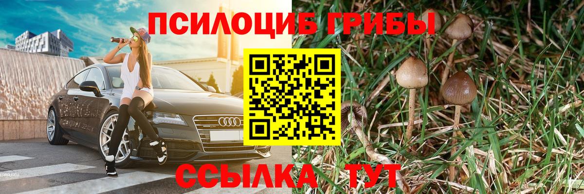 Галлюциногенные грибы Magic Shrooms  Вход с VPN  Краснодар 